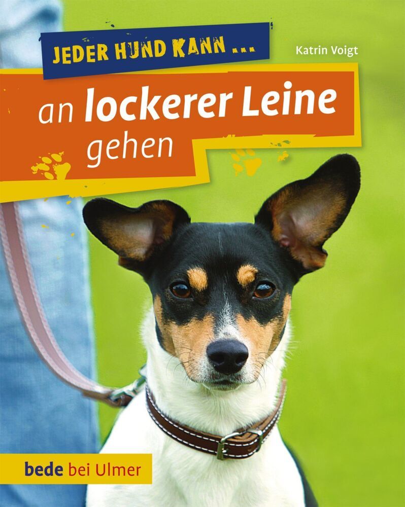 Jeder Hund kann an lockerer Leine gehen (Dr. Katrin Voigt)
