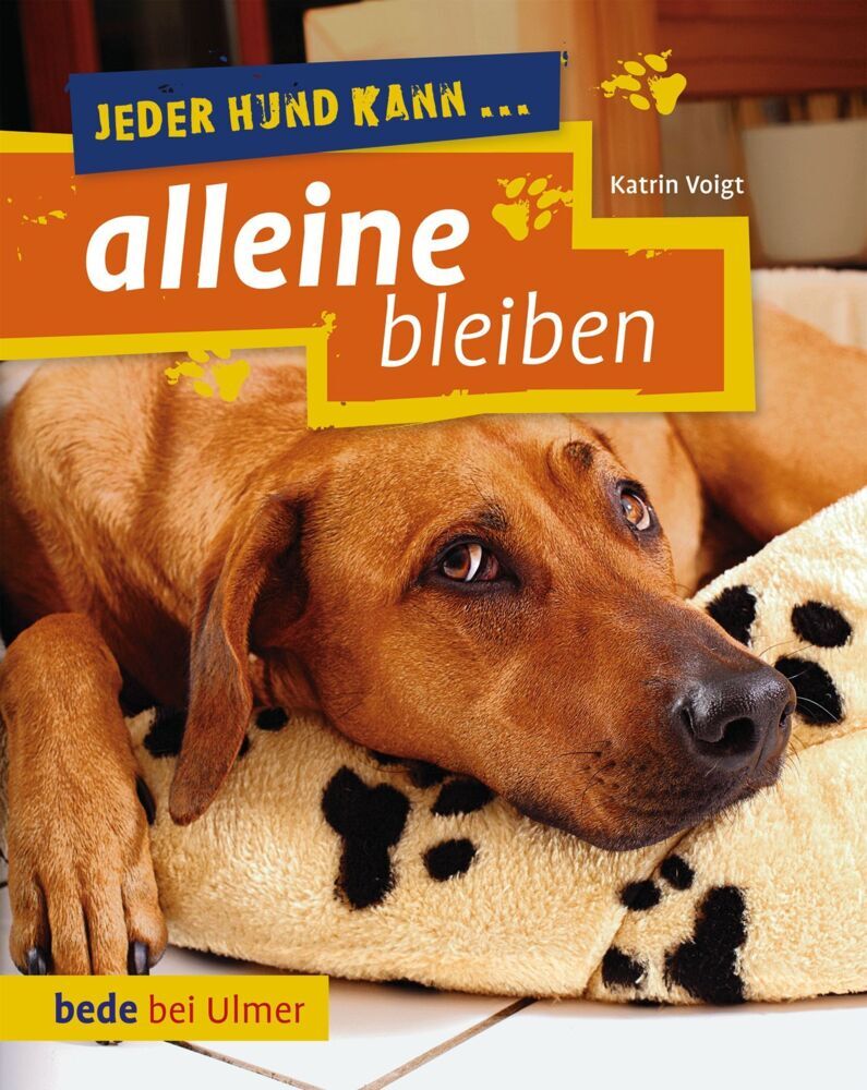 Jeder Hund kann alleine bleiben (Dr. Katrin Voigt)