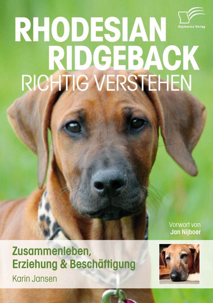 Rhodesian Ridgeback richtig verstehen (Karin Jansen)