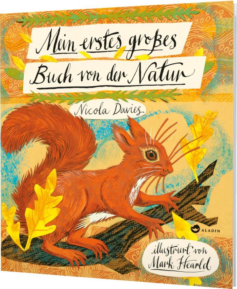 Mein erstes großes Buch von der Natur (Nicola Davies)