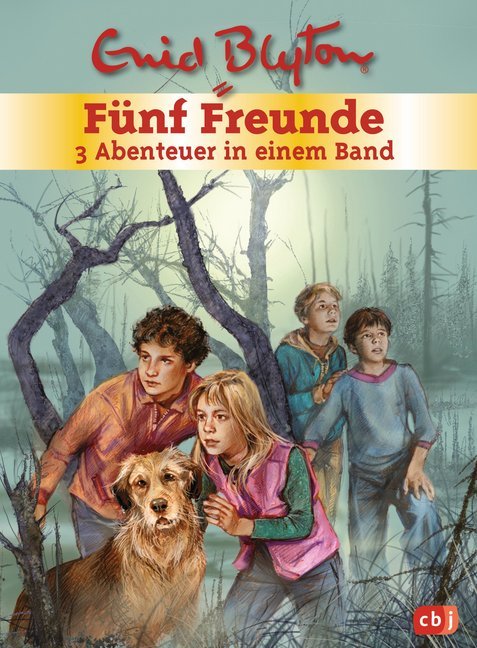 Fünf Freunde - 3 Abenteuer in einem BandF, ünf Freunde und das Teufelsmoor; Fünf Freunde und der Hexenring; Fünf Freunde im Gruselschloss (Enid Blyton)