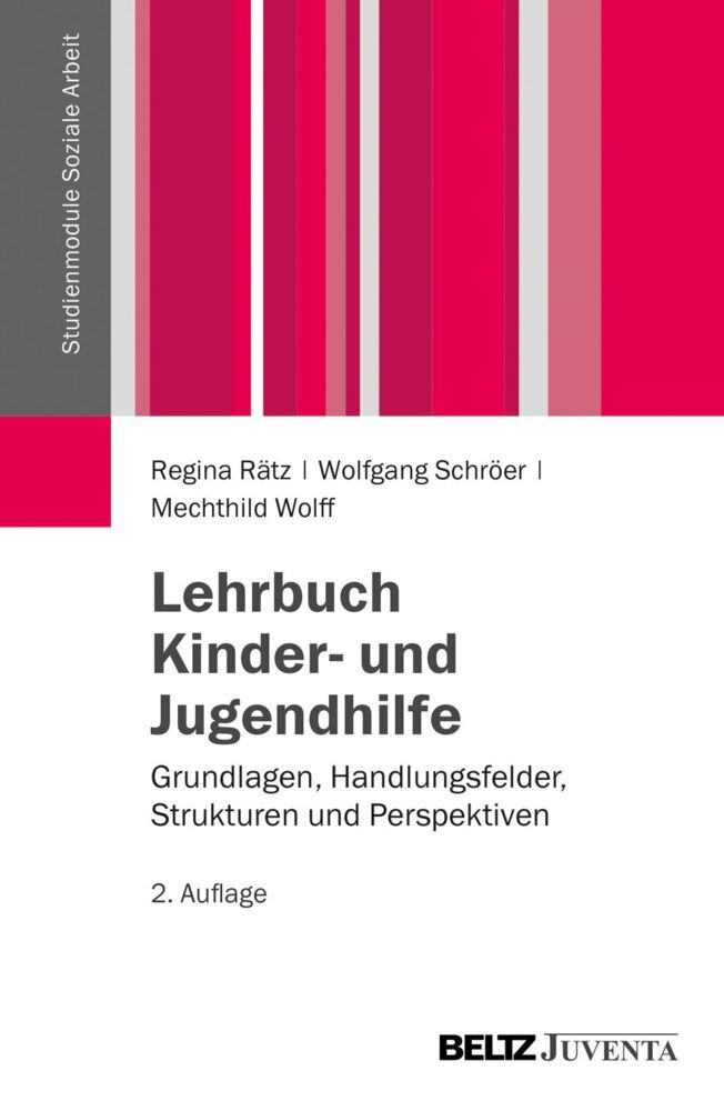 Lehrbuch Kinder- und Jugendhilfe (Regina Rätz)