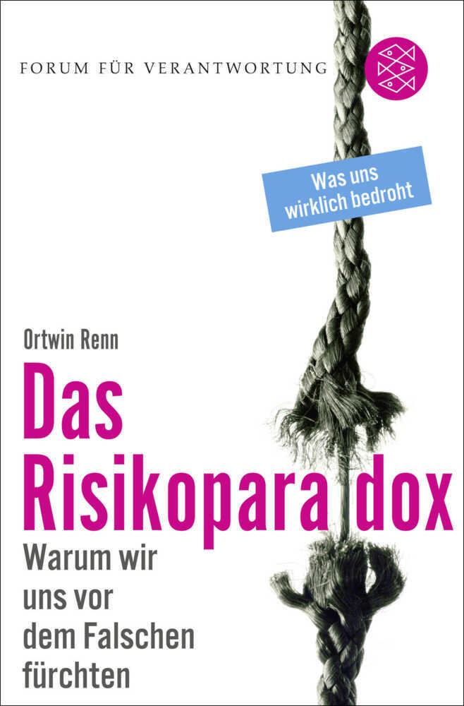 Das Risikoparadox (Ortwin Renn)