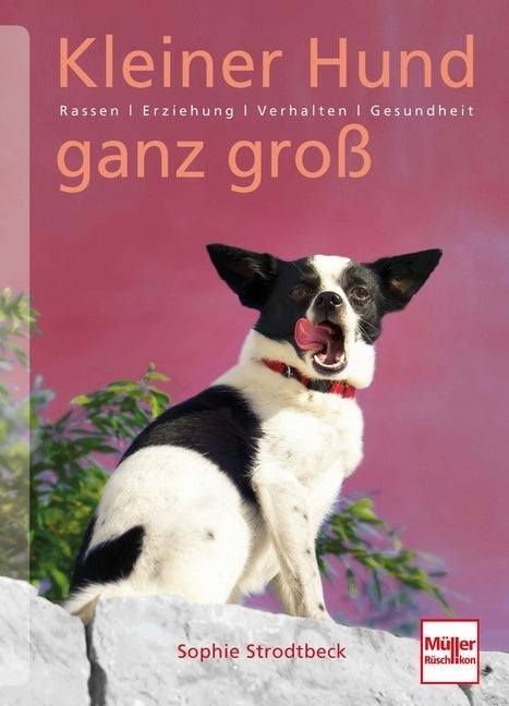 Kleiner Hund ganz groß (Sophie Strodtbeck)