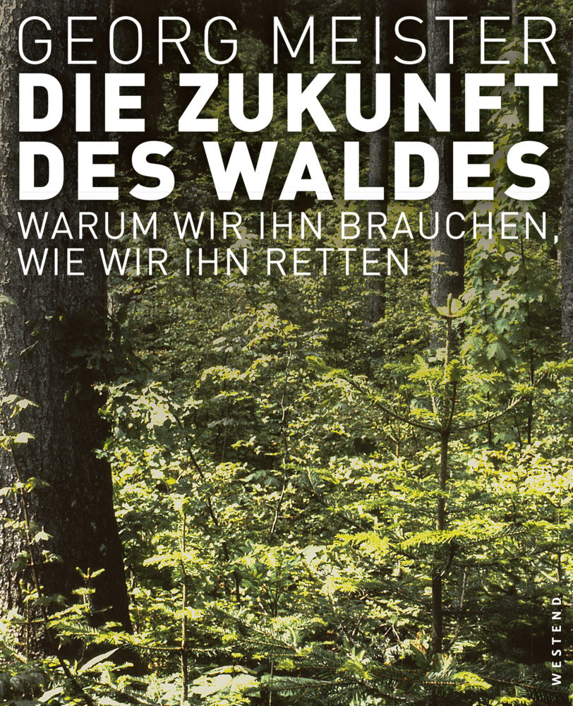 Die Zukunft des Waldes (Georg Meister)