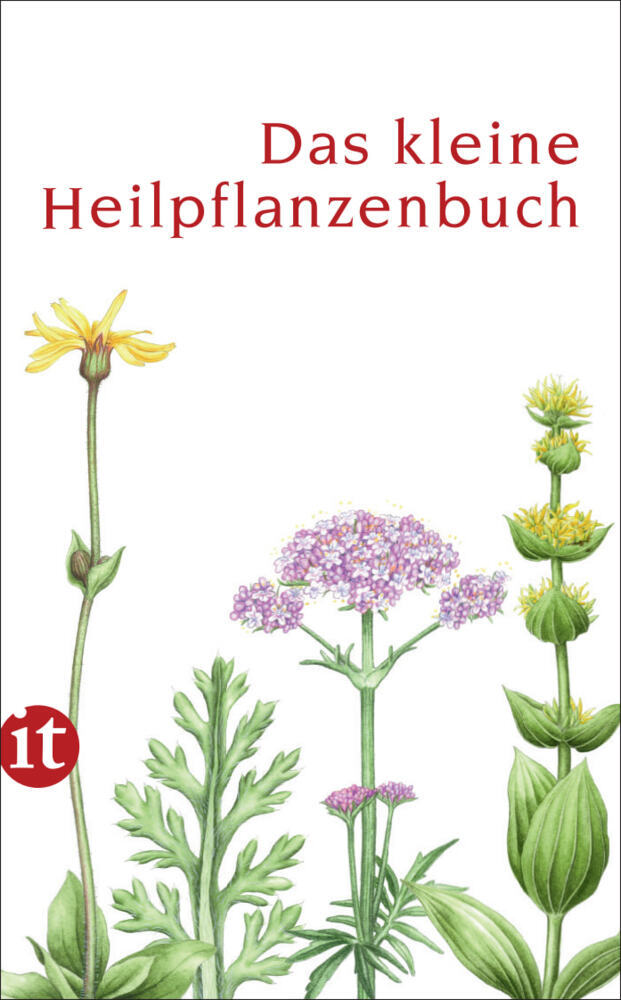 Das kleine Heilpflanzenbuch (Catrin Cohnen)