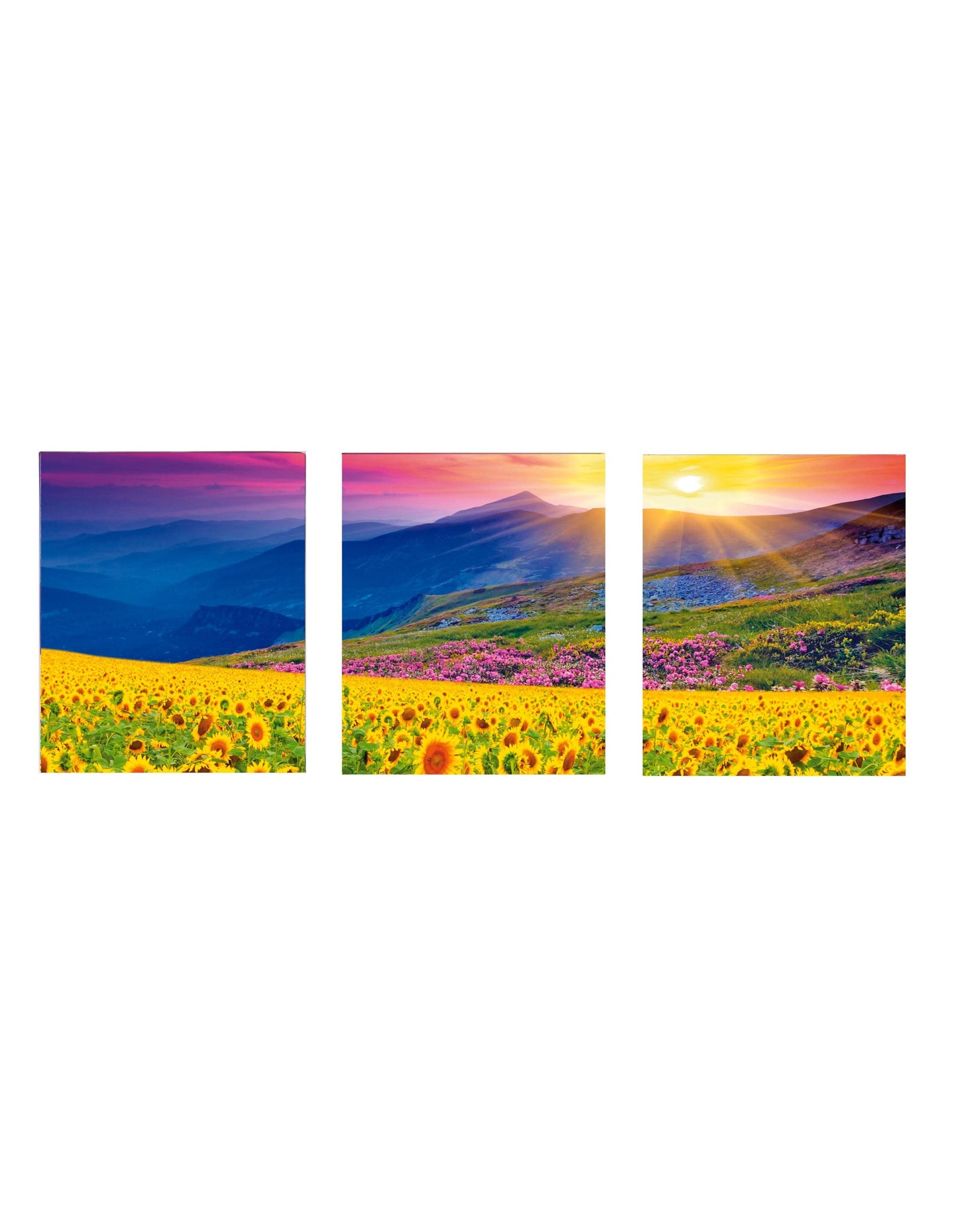 Diamond Painting "Sonnenblumen und Berge" Triptychon, 3 x 40 x 30 cm