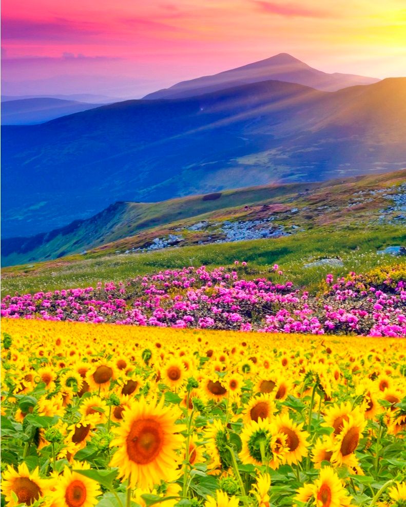 Diamond Painting "Sonnenblumen und Berge" Triptychon, 3 x 40 x 30 cm