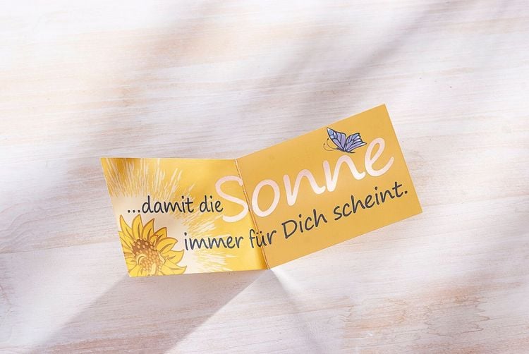 Geschenkset Mutmach-Hamster "Sunny" inkl. Grusskarte