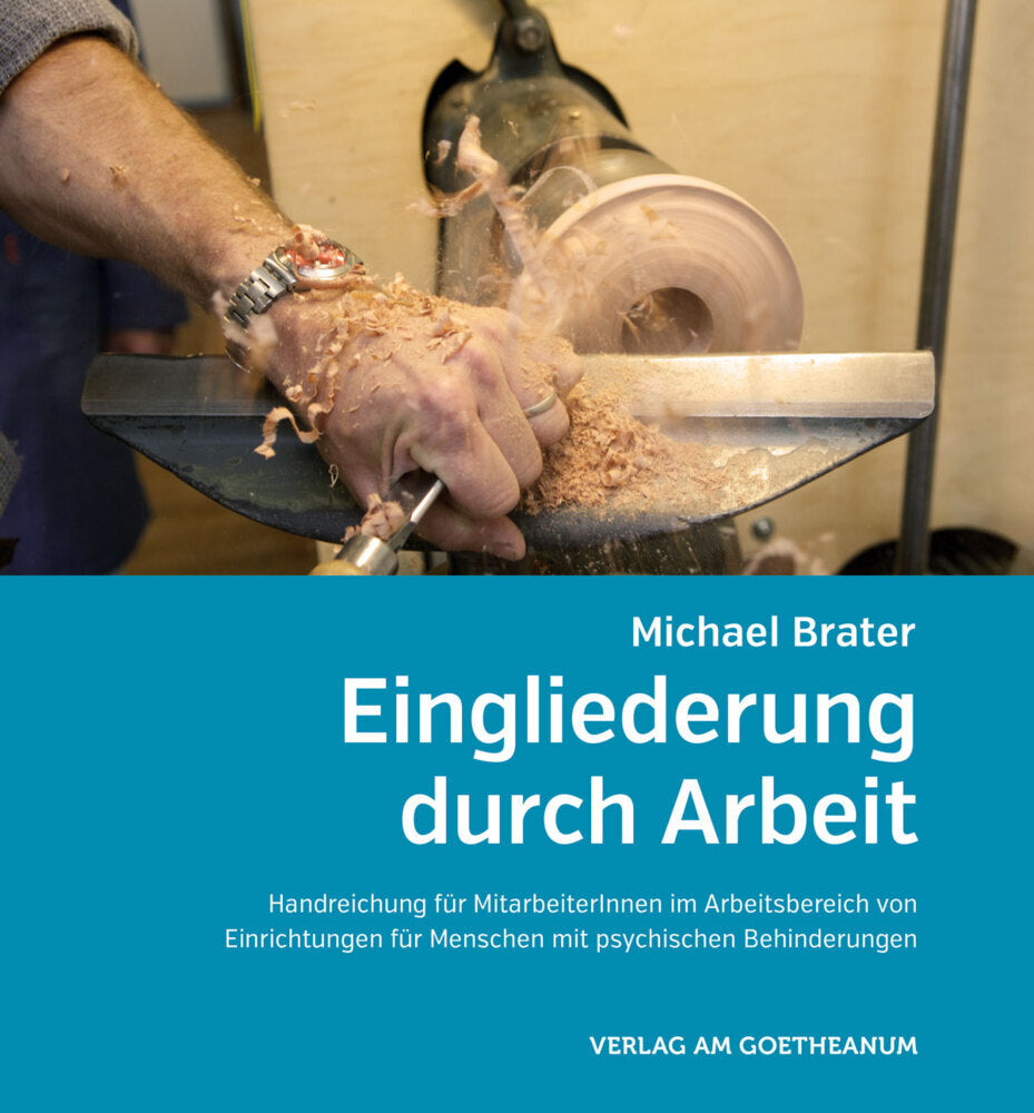 Eingliederung durch Arbeit (Michael Brater)
