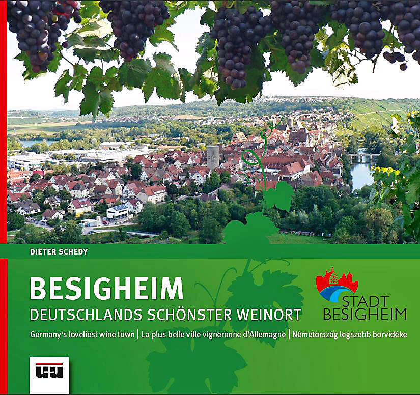 Besigheim (Dieter Schedy)