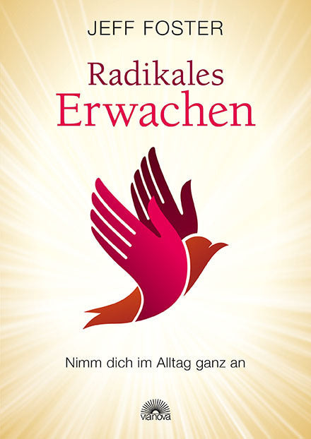 Radikales Erwachen (Jeff Foster)