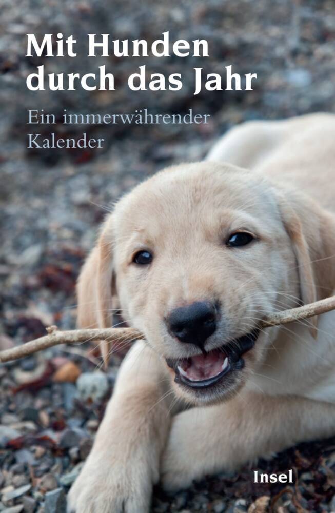 Mit Hunden durch das Jahr (Gesine Dammel)