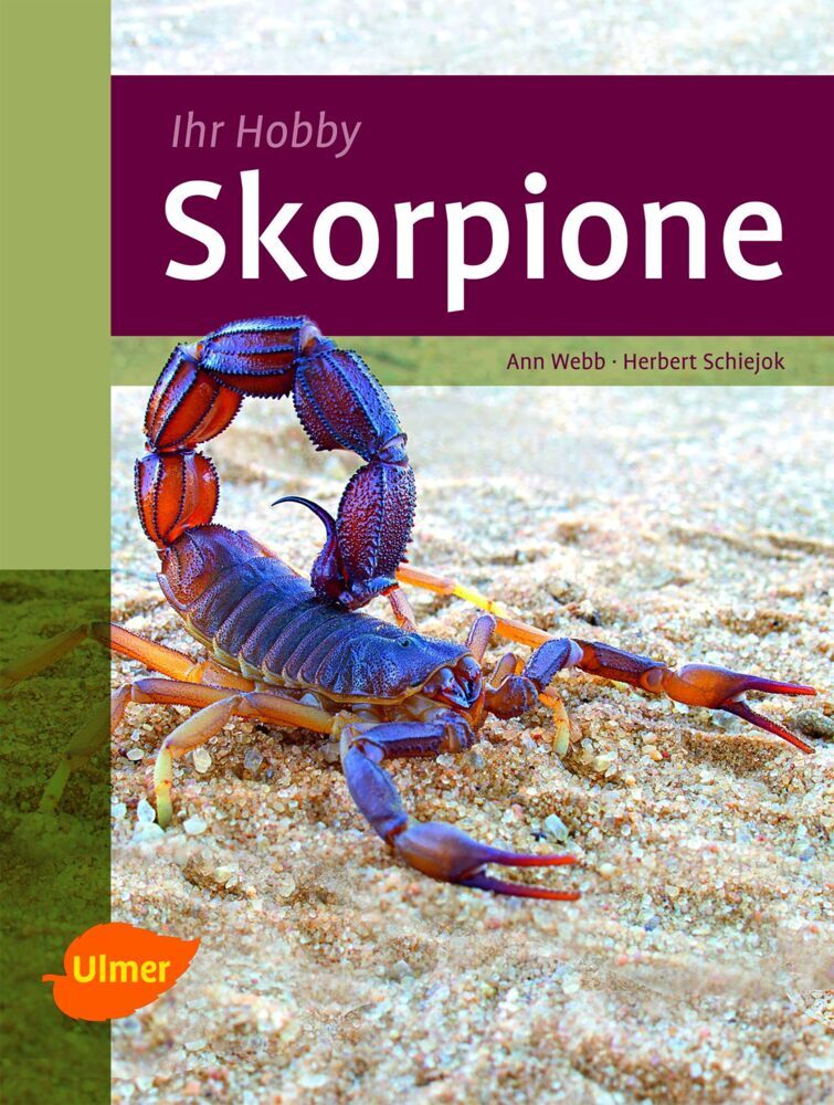 Skorpione (Ann Webb)