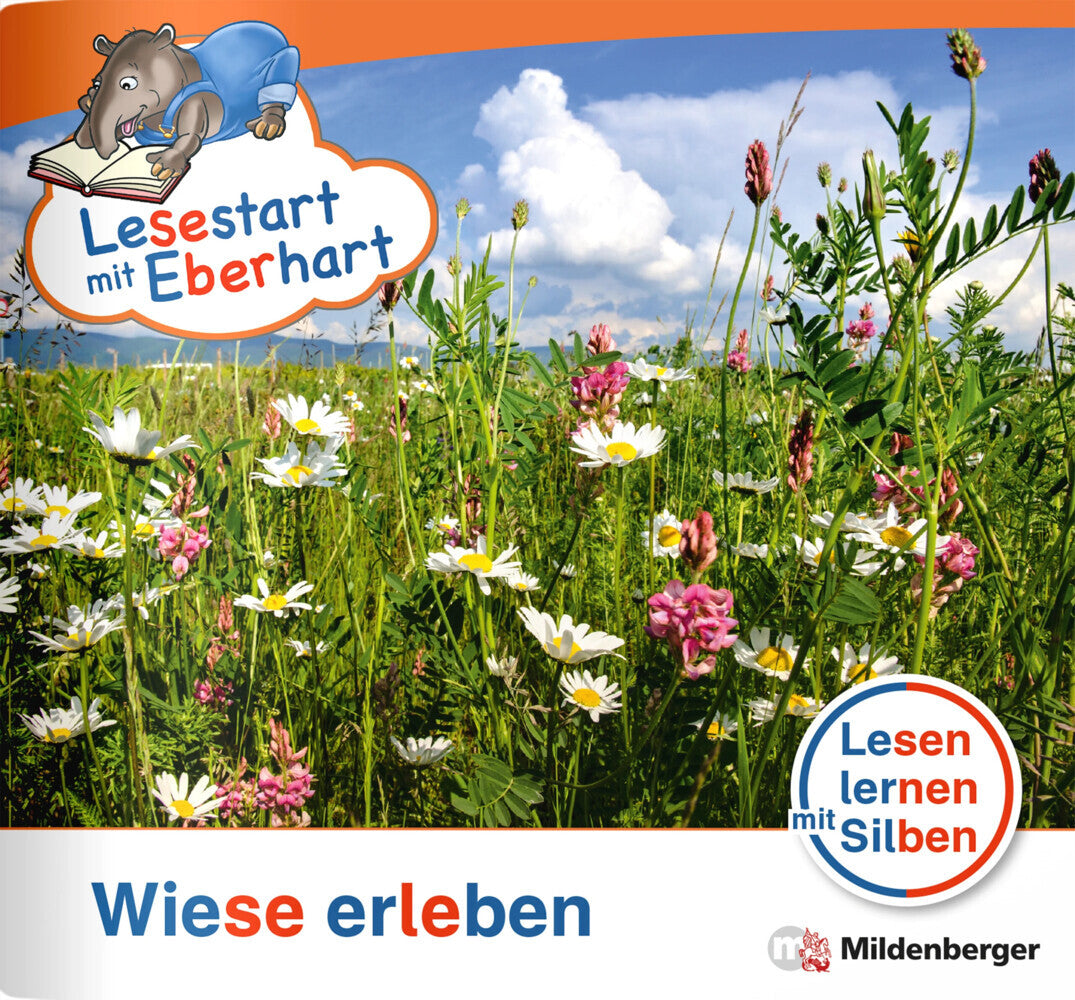 Wiese erleben (Stefanie Drecktrah)