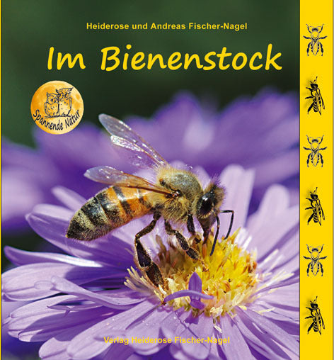 Im Bienenstock (Heiderose Fischer-Nagel)