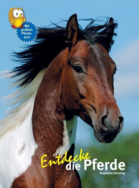 Entdecke die Pferde (Stephanie Hornung)