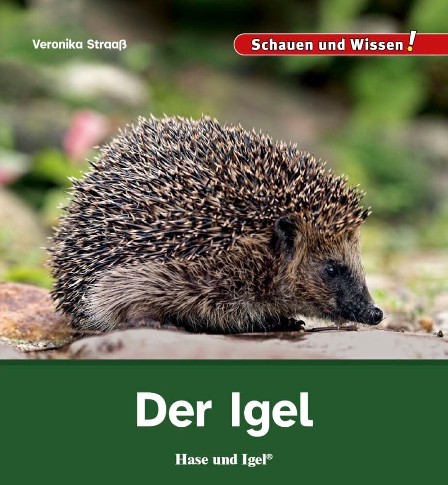 Der Igel (Veronika Straaß)