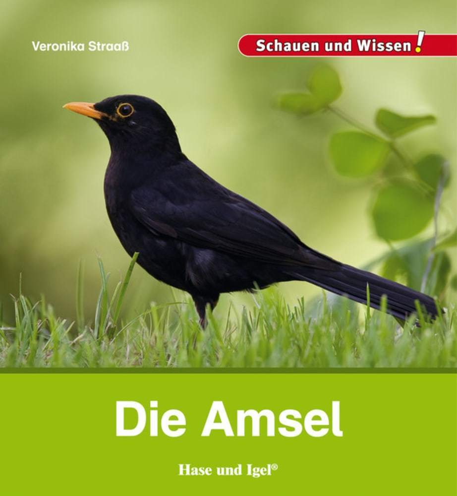 Die Amsel (Veronika Straaß)