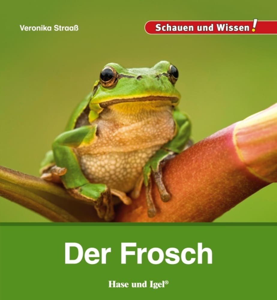Der Frosch (Veronika Straaß)