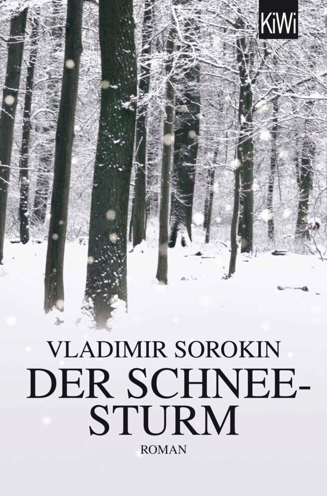 Der Schneesturm (Vladimir Sorokin)