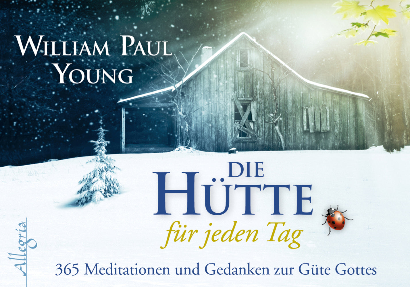 Die Hütte für jeden Tag (William Paul Young)