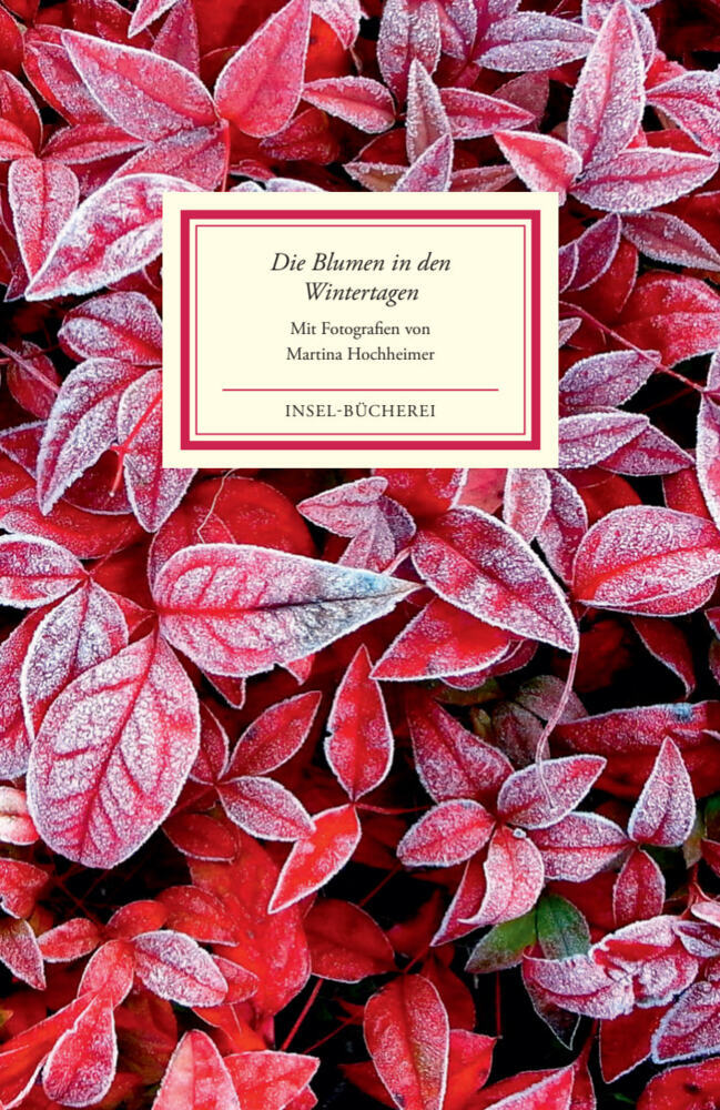 Die Blumen in den Wintertagen (Martina Hochheimer)