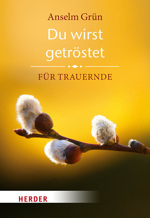 Du wirst getröstet (Anselm Grün)
