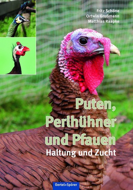 Puten, Perlhühner und Pfauen (Fritz Schöne)