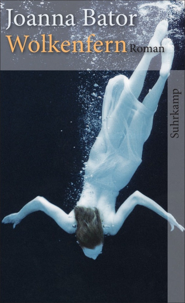 Wolkenfern (Joanna Bator)