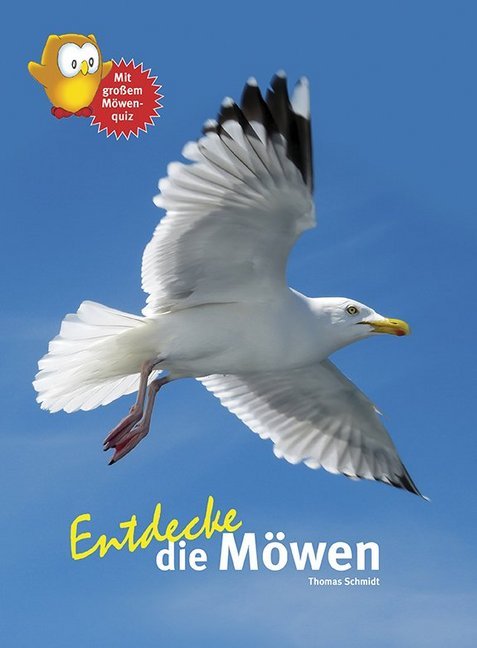 Entdecke die Möwen (Thomas Schmidt)