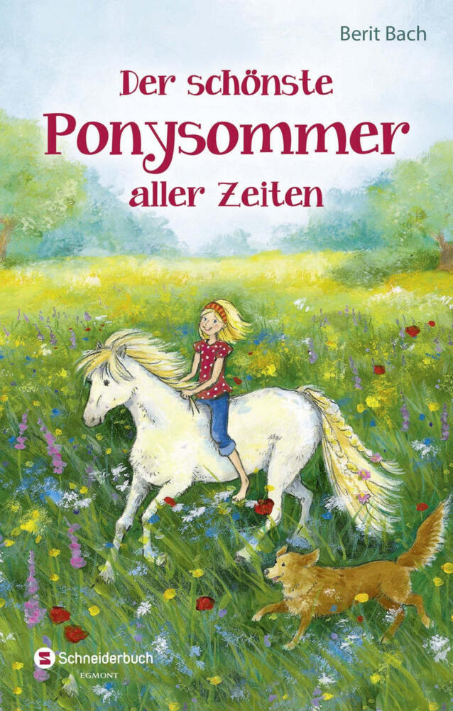 Der schönste Ponysommer aller Zeiten (Berit Bach)