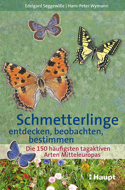 Schmetterlinge entdecken, beobachten, bestimmen (Edelgard Seggewiße)