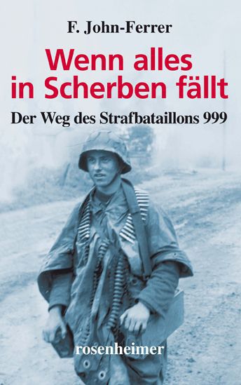 Wenn alles in Scherben fällt (F. John-Ferrer)