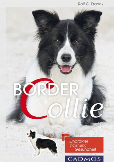 Border Collie (Rolf C. Franck)
