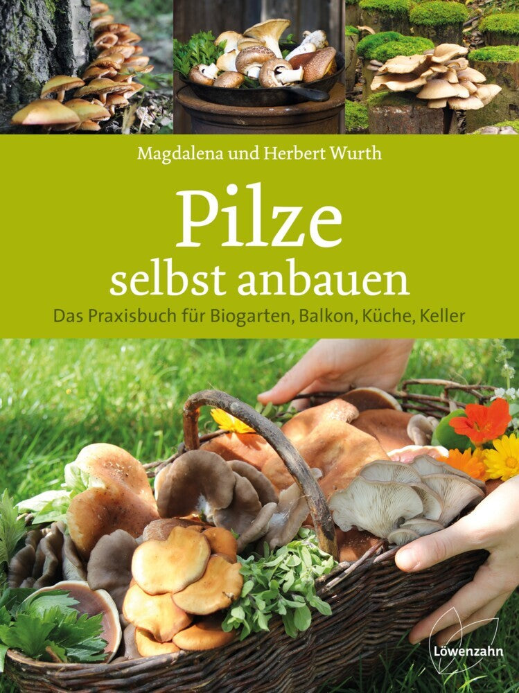 Pilze selbst anbauen (Magdalena Wurth)