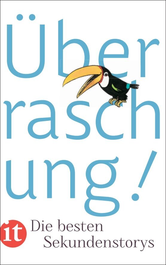 Überraschung! (Clara Paul)