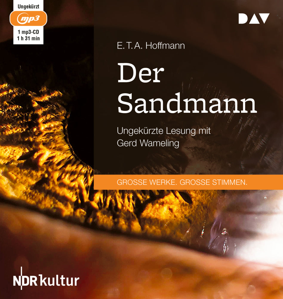 Der Sandmann, 1 Audio-CD, 1 MP3 (E. T. A. Hoffmann)