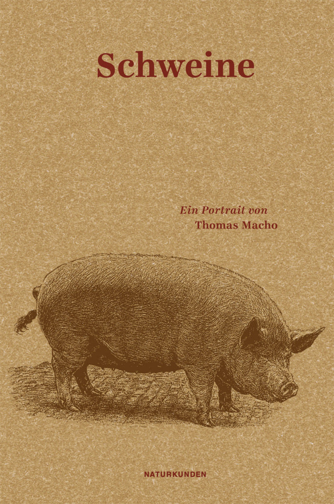 Schweine (Thomas Macho)