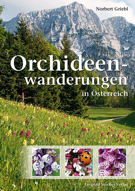 Orchideenwanderungen in Österreich (Norbert Griebl)