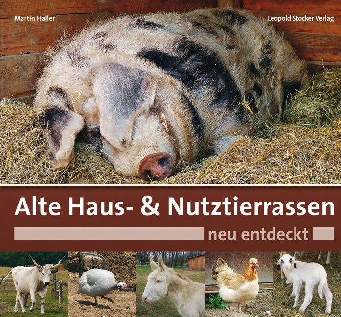 Alte Haus- & Nutztierrassen neu entdeckt (Martin Haller)