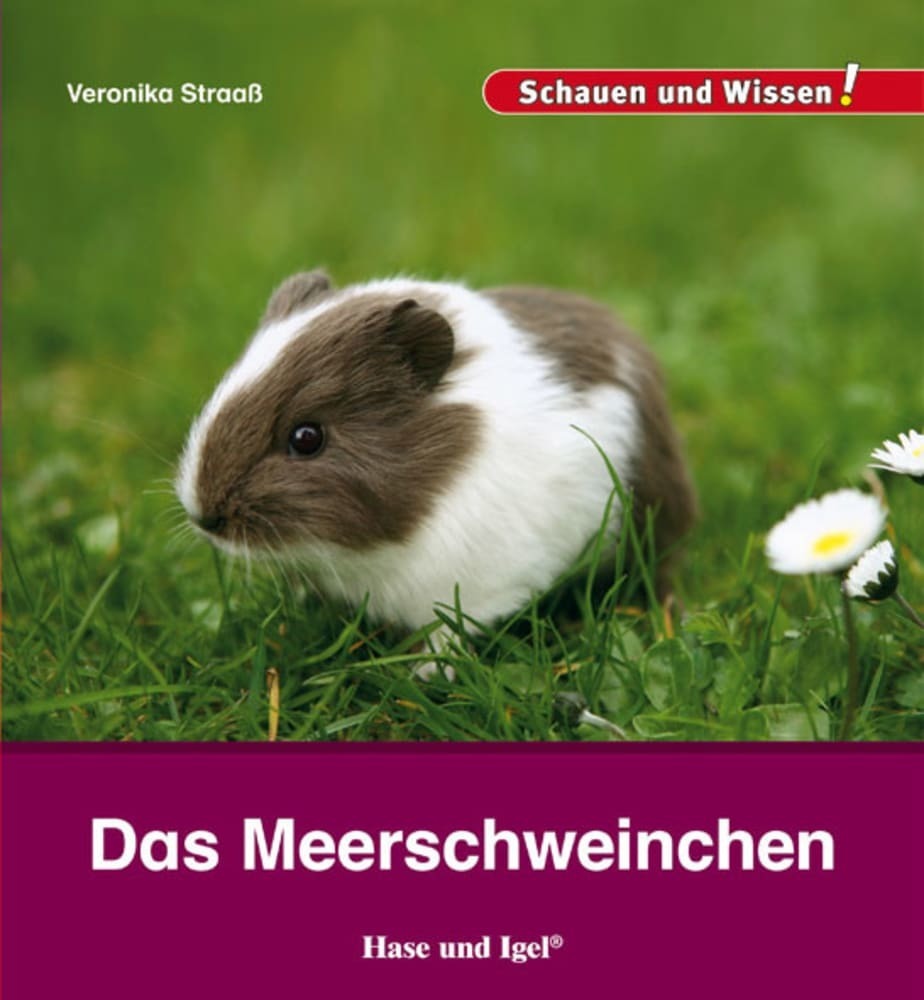 Das Meerschweinchen (Veronika Straaß)