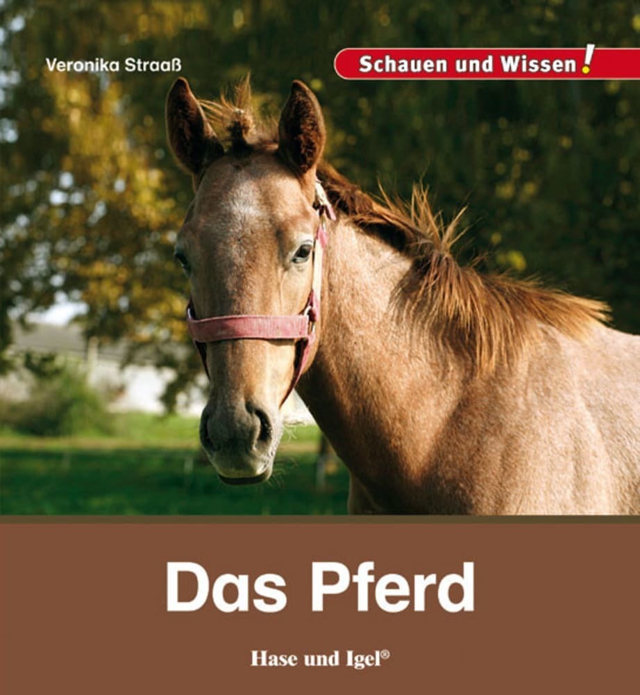 Das Pferd (Veronika Straaß)