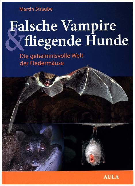 Falsche Vampire, fliegende Hunde (Martin Straube)