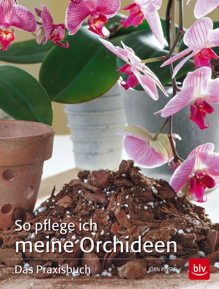 So pflege ich meine Orchideen (Jörn Pinske)