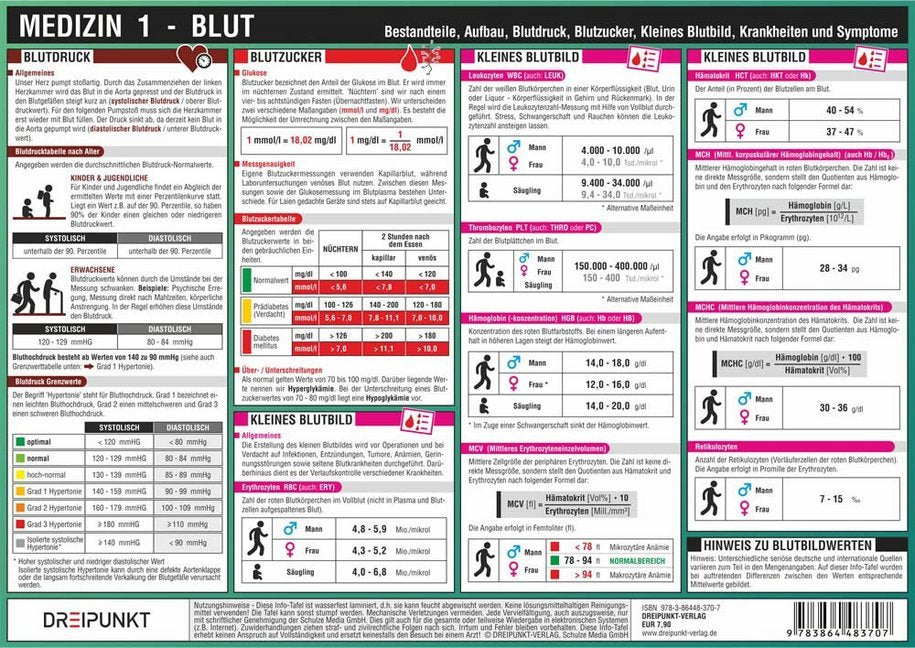 Medizin 1 - Blut, Infotafel (Michael Schulze)