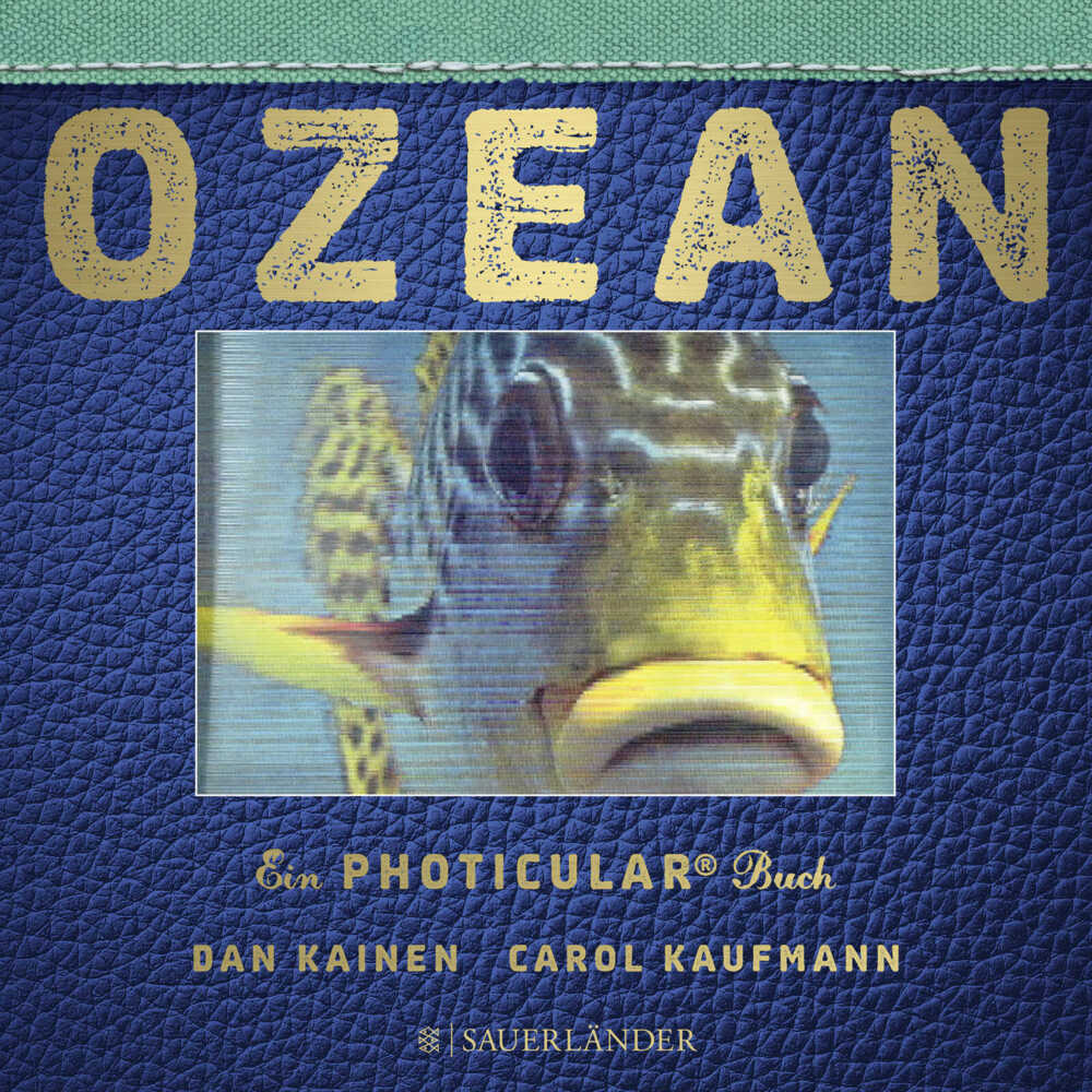 Ozean (Dan Kainen)