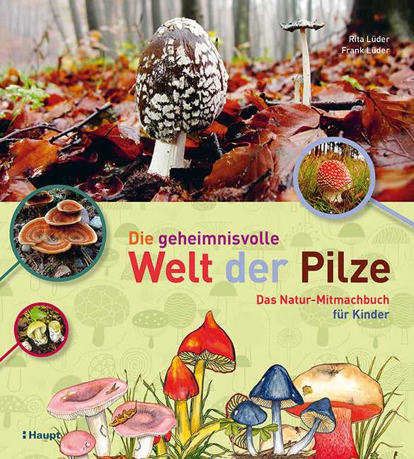 Die geheimnisvolle Welt der Pilze (Rita Lüder)