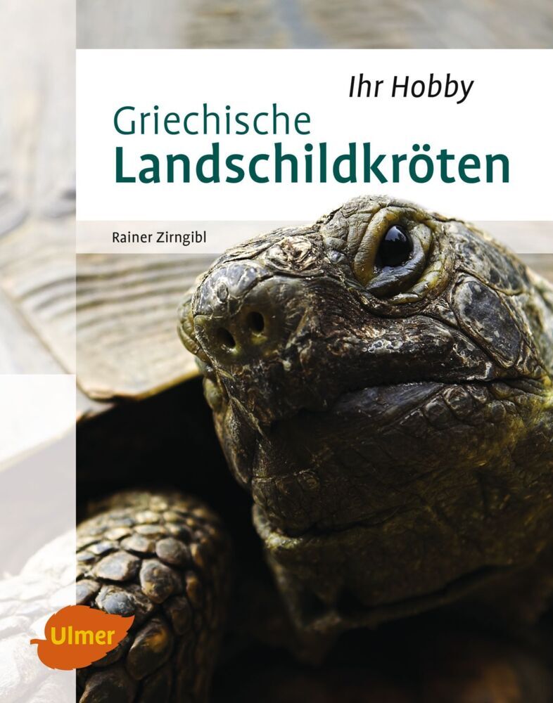 Griechische Landschildkröten (Rainer Zirngibl)