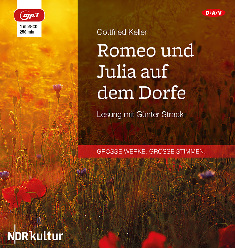 Romeo und Julia auf dem Dorfe, 1 Audio-CD, 1 MP3 (Gottfried Keller)